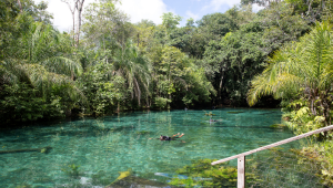 Bonito Adventure