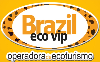 BRAZIL ECOVIP