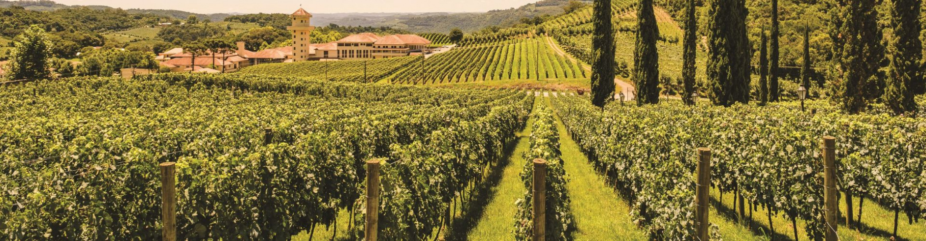 Ferrovia do Vinho