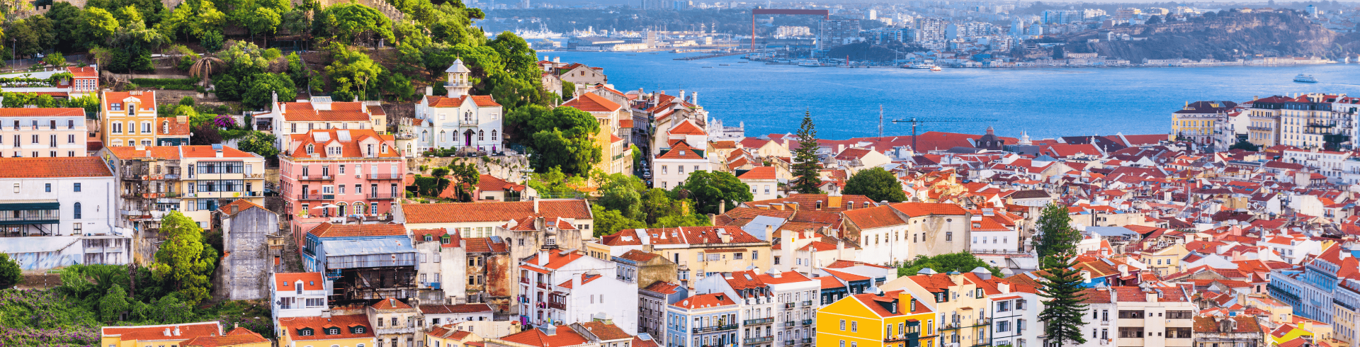 Sabores de Portugal