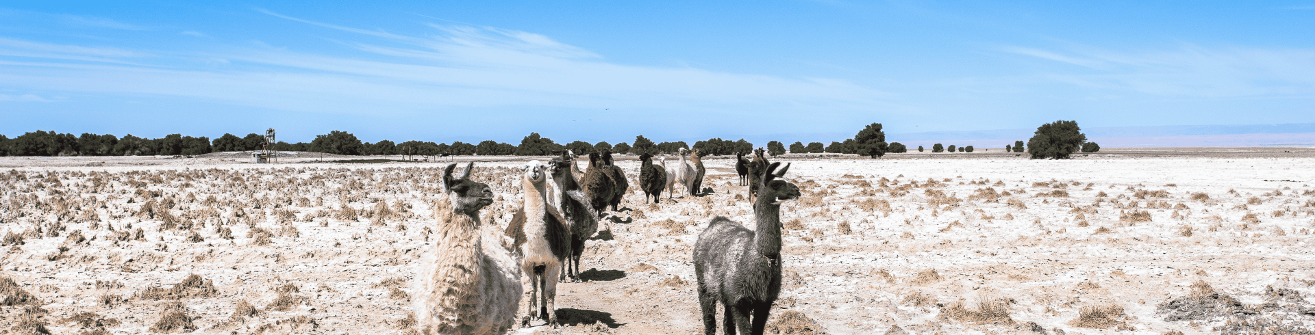 Atacama e Santiago