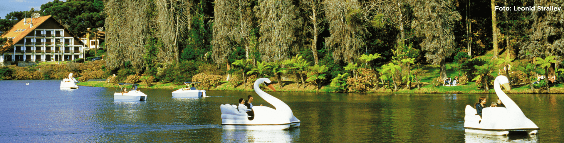 Gramado com Skyglass e Bustour