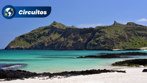 Pacote Galápagos Loop Ilha de Santa Cruz, Puerto Ayora, Ilha Floreana, Ilha Isabela, Puerto Villamil, Ilha Baltra