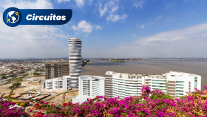 Guayaquil Express