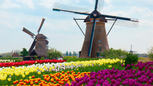 Pacote SAÍDA DE GRU Cativa 16/04 a 30/04/2027 -  Holanda Florida com Bélgica e França Amsterdã, Antuérpia, Bruxelas, Paris