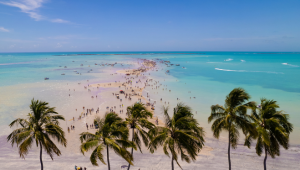 Pacote Porto de Galinhas com Maragogi