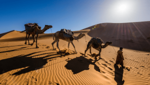 Circuito: Marrocos Imperiais