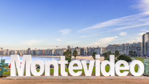 Pacote Rota dos Vinhos - Tour em vinícolas em Montevidéu e Colonia del Sacramento