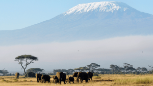 África do Sul Fascinante