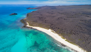 Galápagos - Nos Passos de Charles Darwin