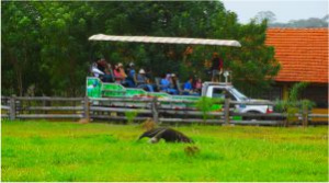 BONITO E PANTANAL